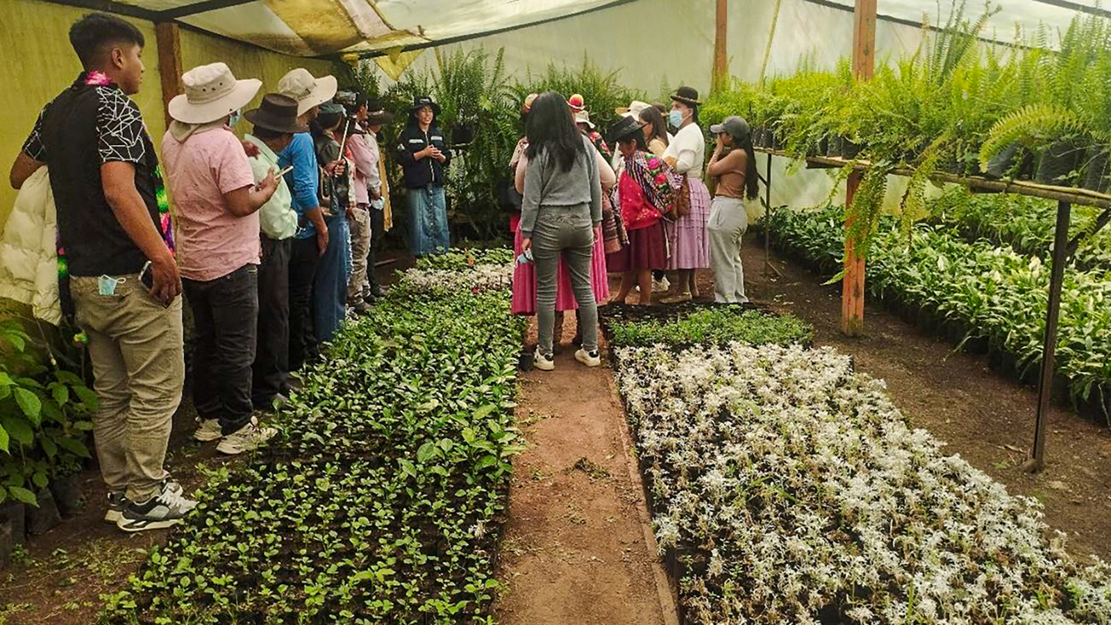 imagen de programa Sembrando Saberes: Agroecología en la Educación Rural