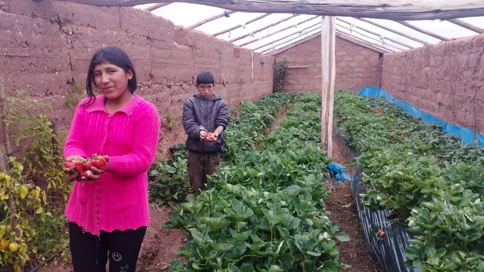 imagen de programa Agroecología y Producción Sostenible